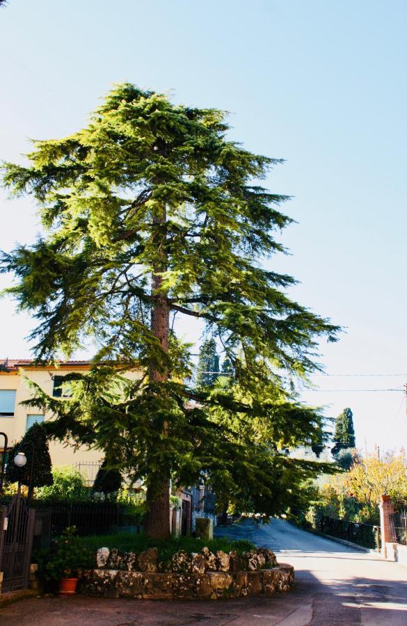 Ferienwohnung La Torre Di Caprera Siena Exterior foto